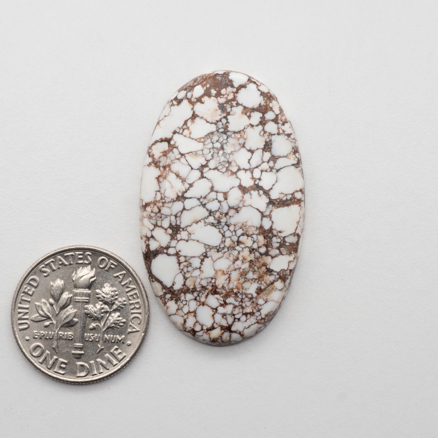 Wild Horse Cabochon