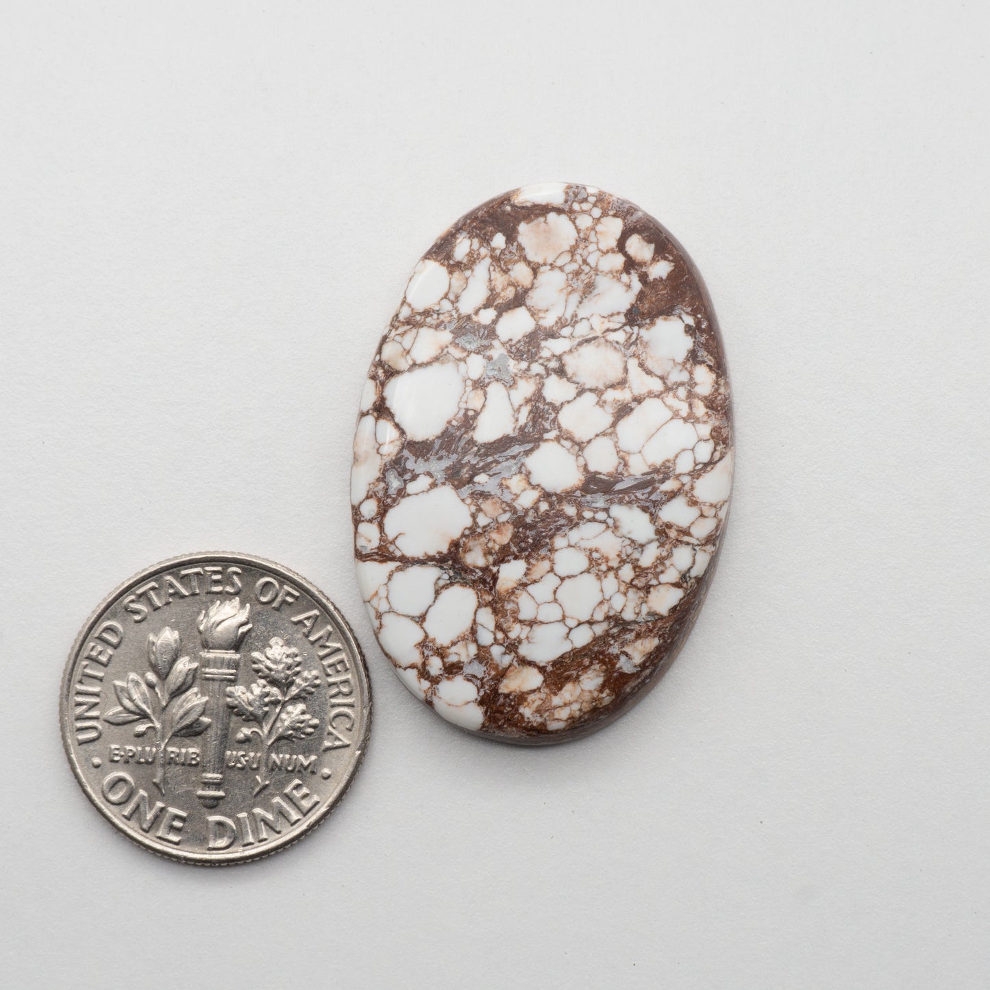 Wild Horse Cabochon