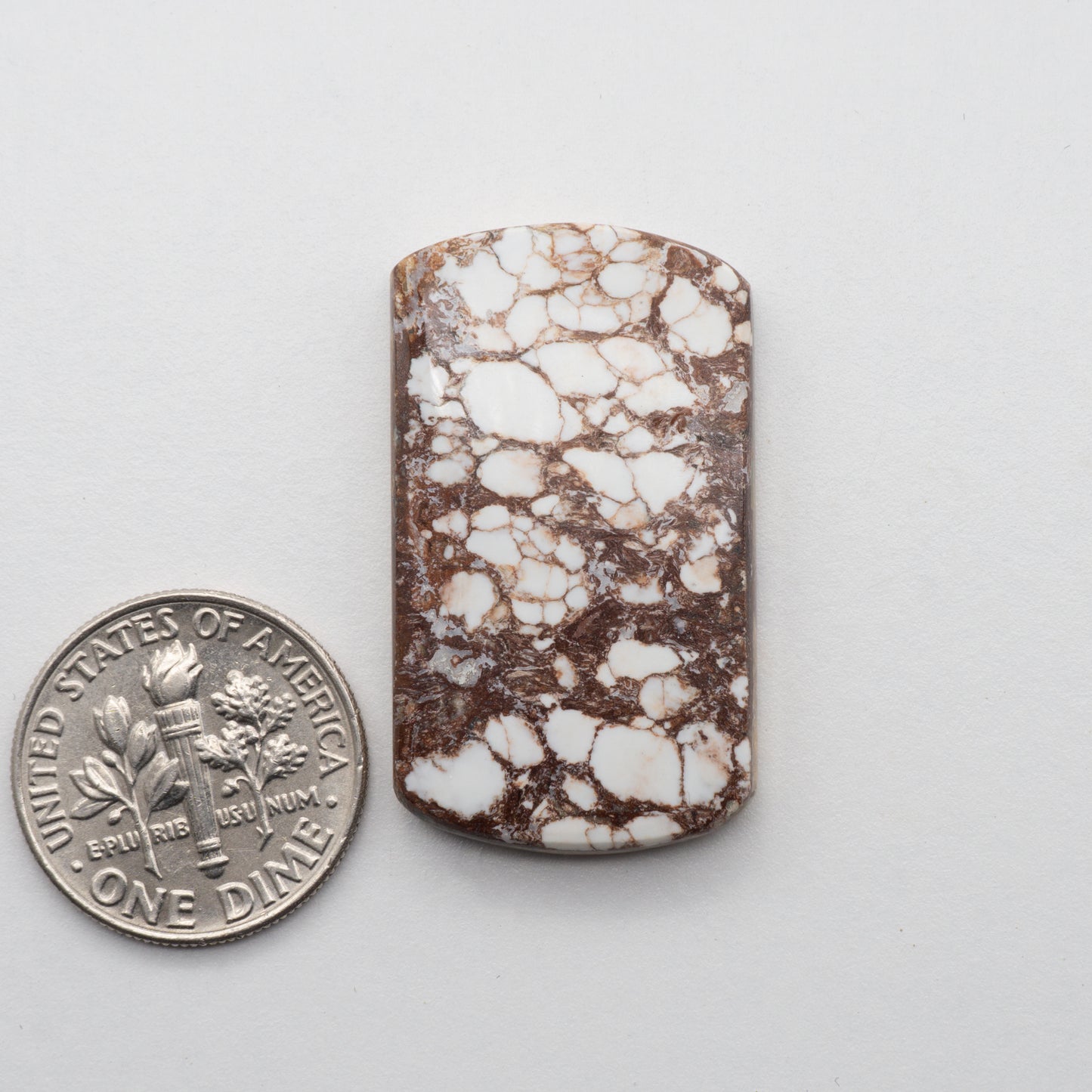 Wild Horse Cabochon