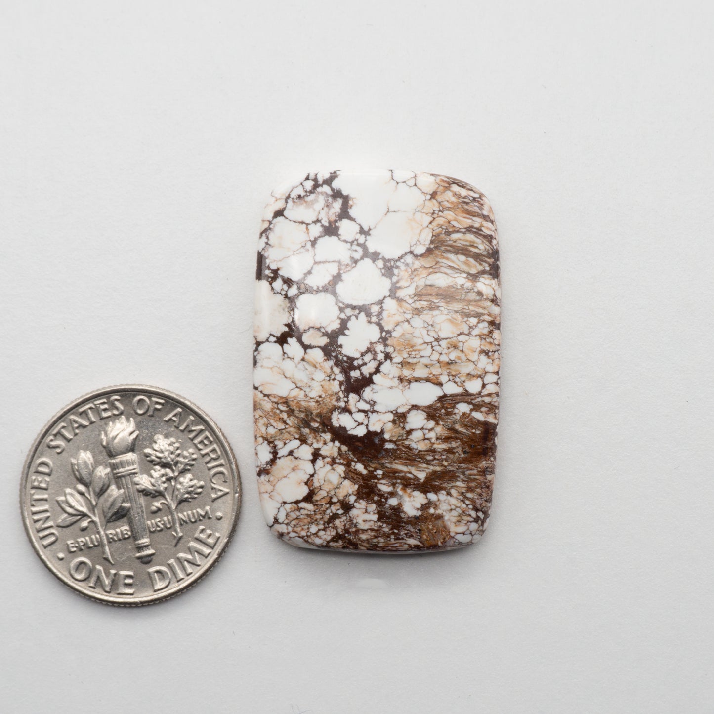 Wild Horse Cabochon