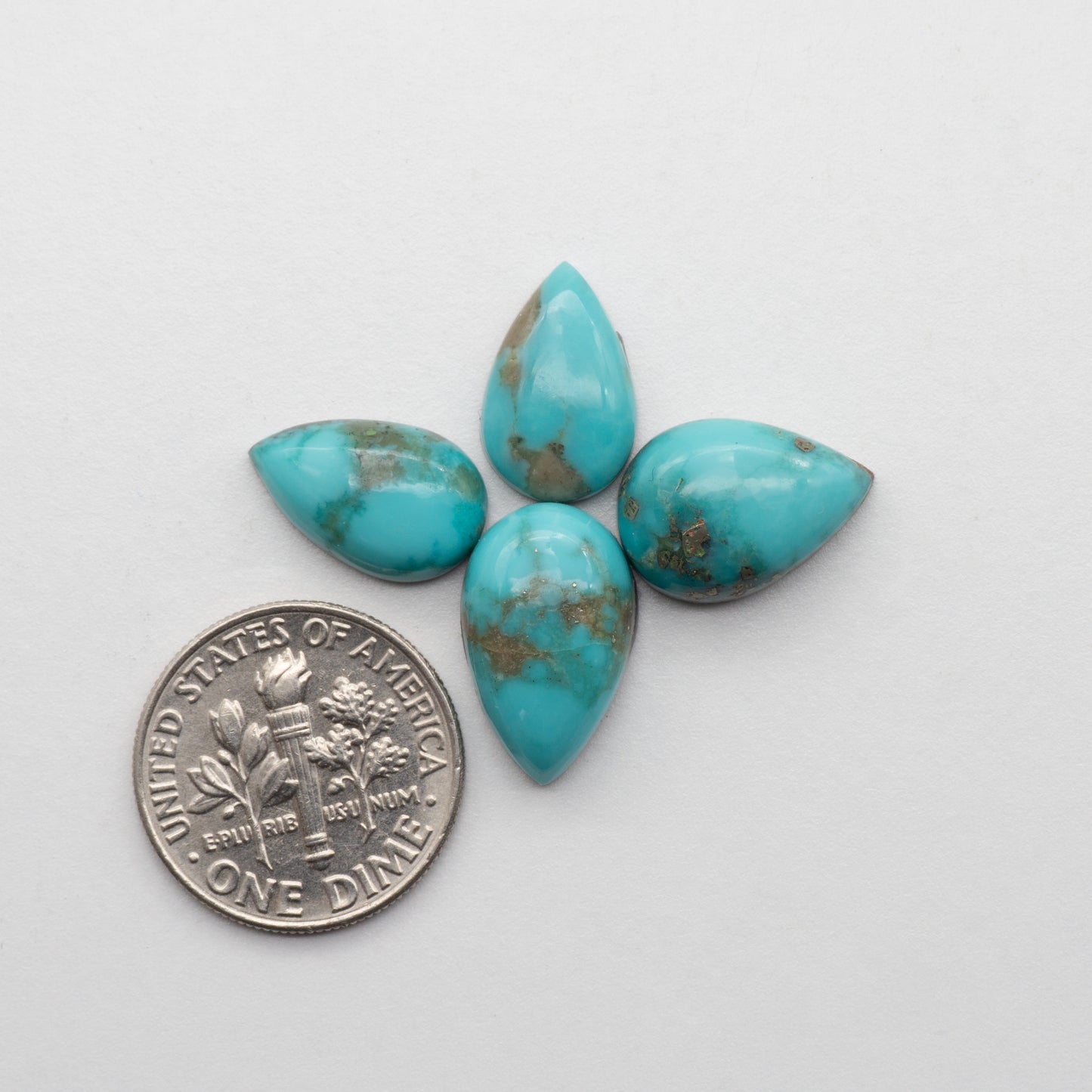 Campitos Turquoise Cabochons