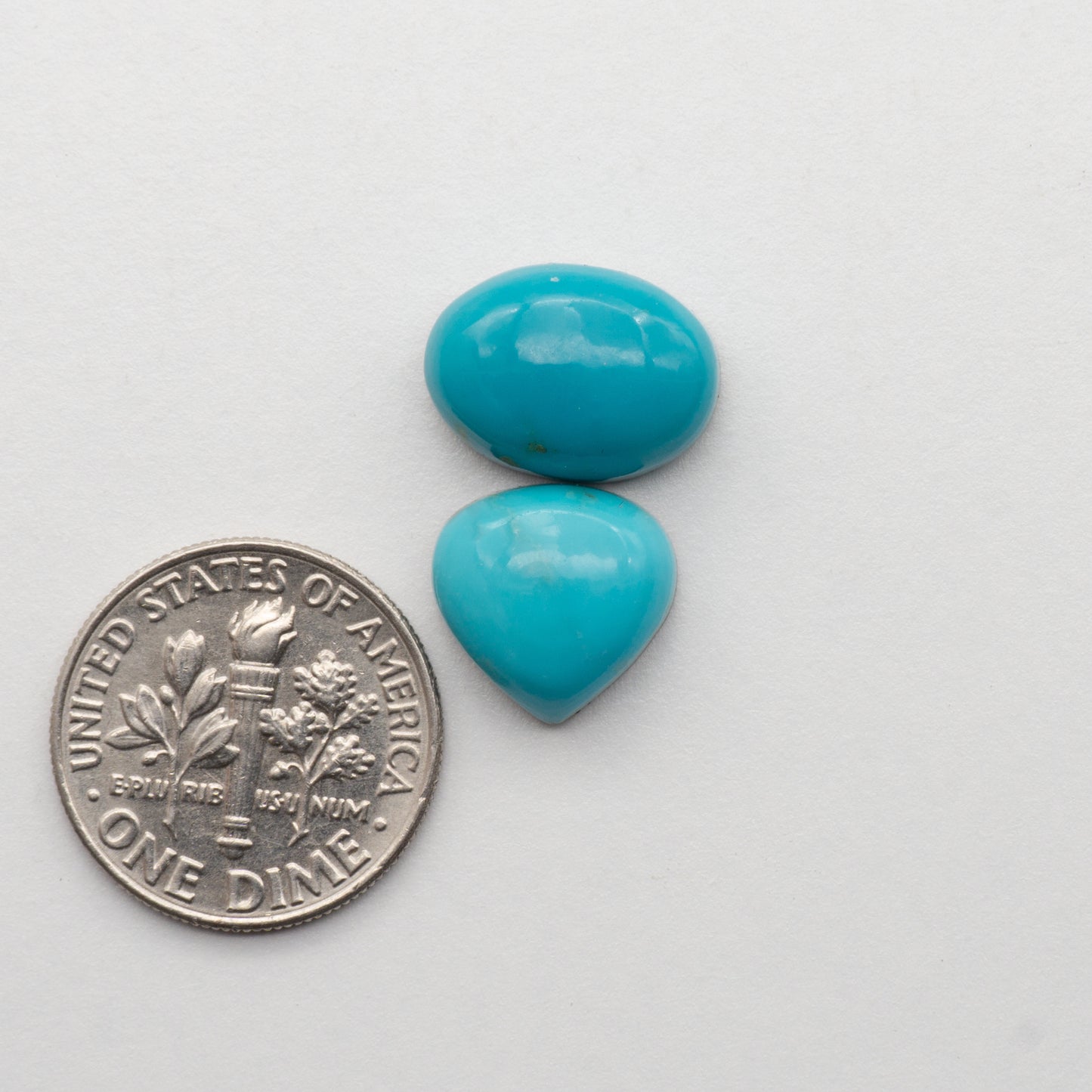 Campitos Turquoise Cabochons