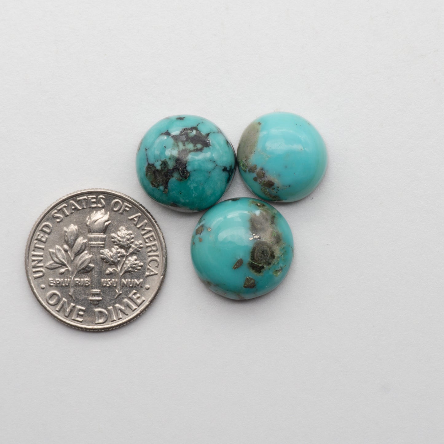 Campitos Turquoise Cabochons