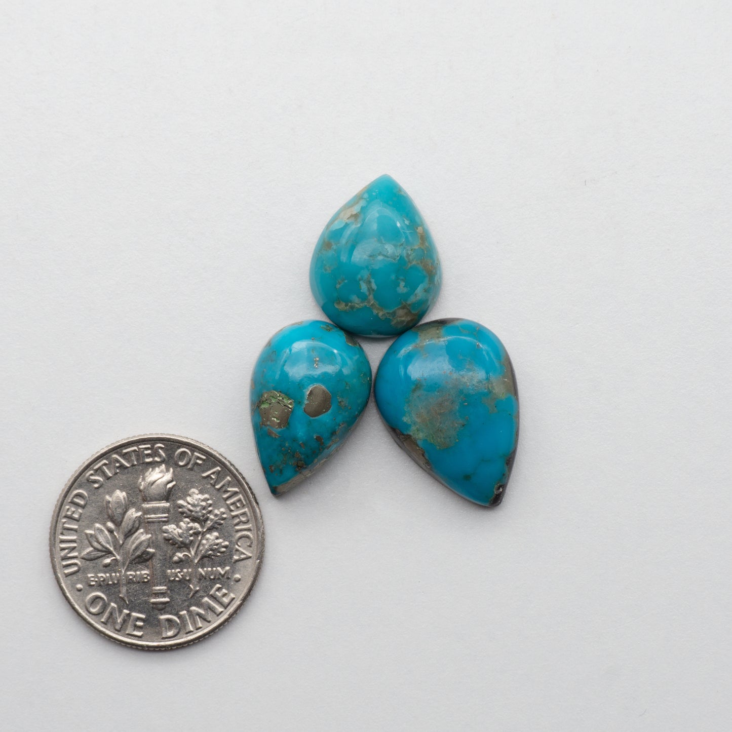 Campitos Turquoise Cabochons