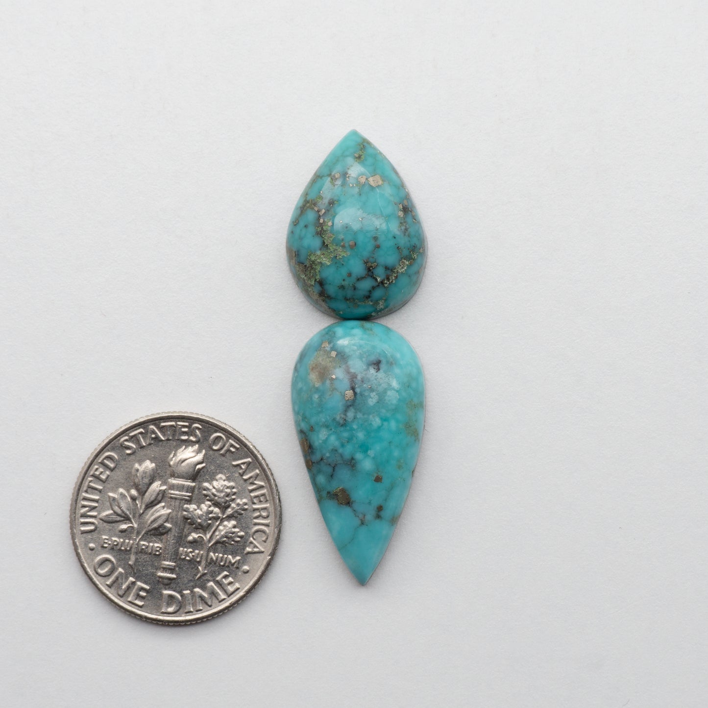Campitos Turquoise Cabochons