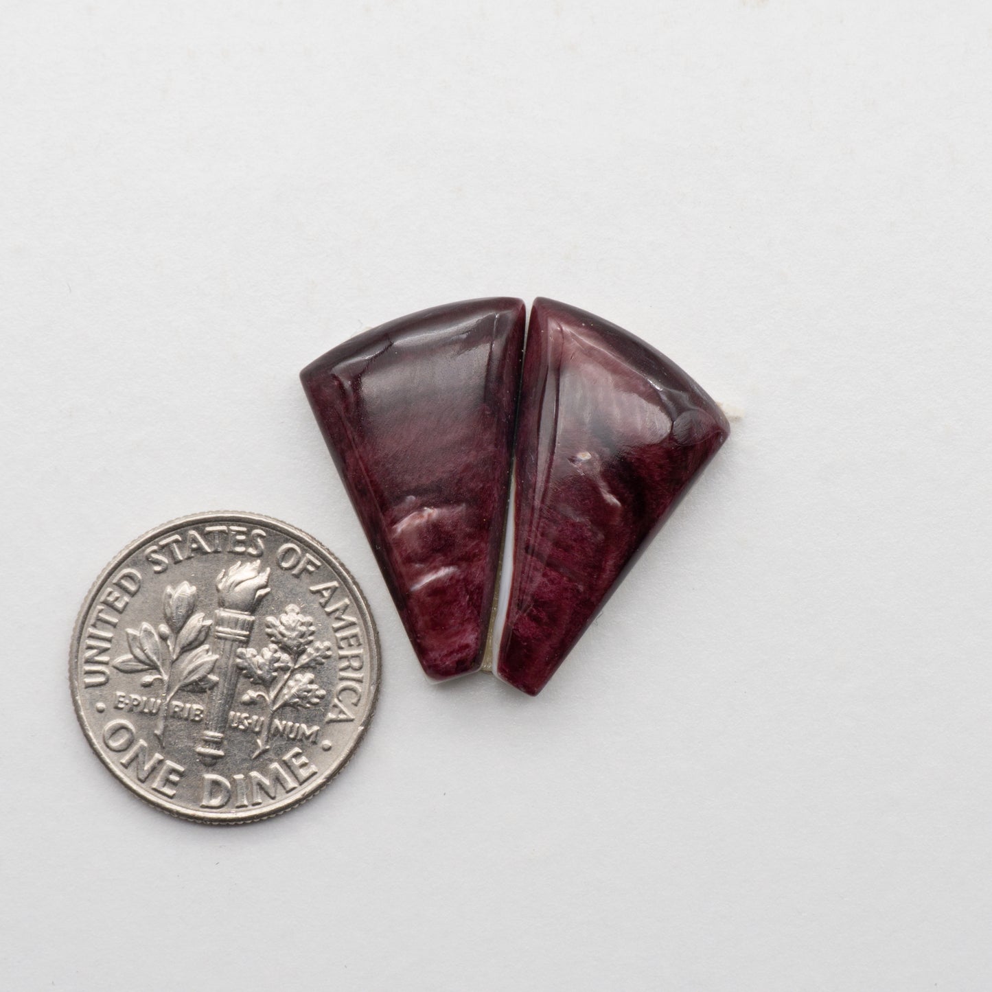 Spiny Oyster Cabochons