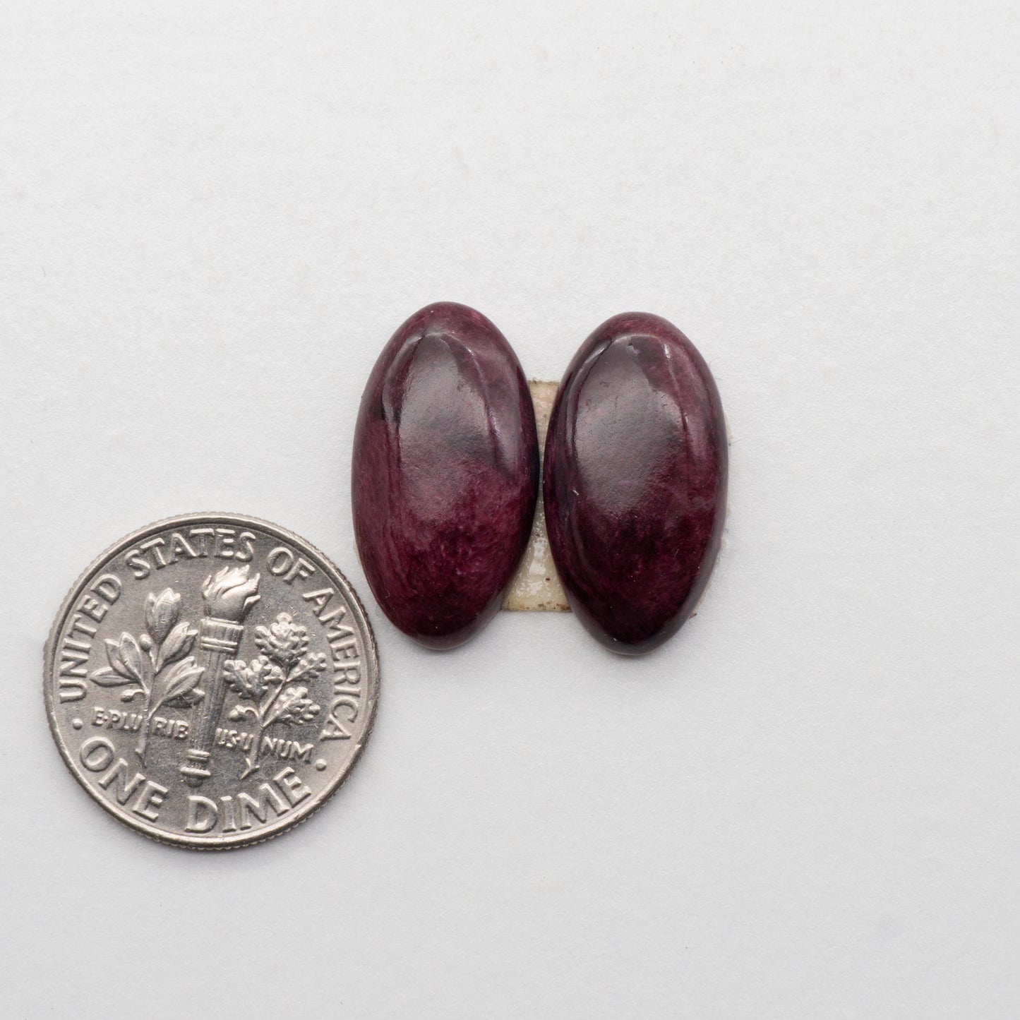 Spiny Oyster Cabochons