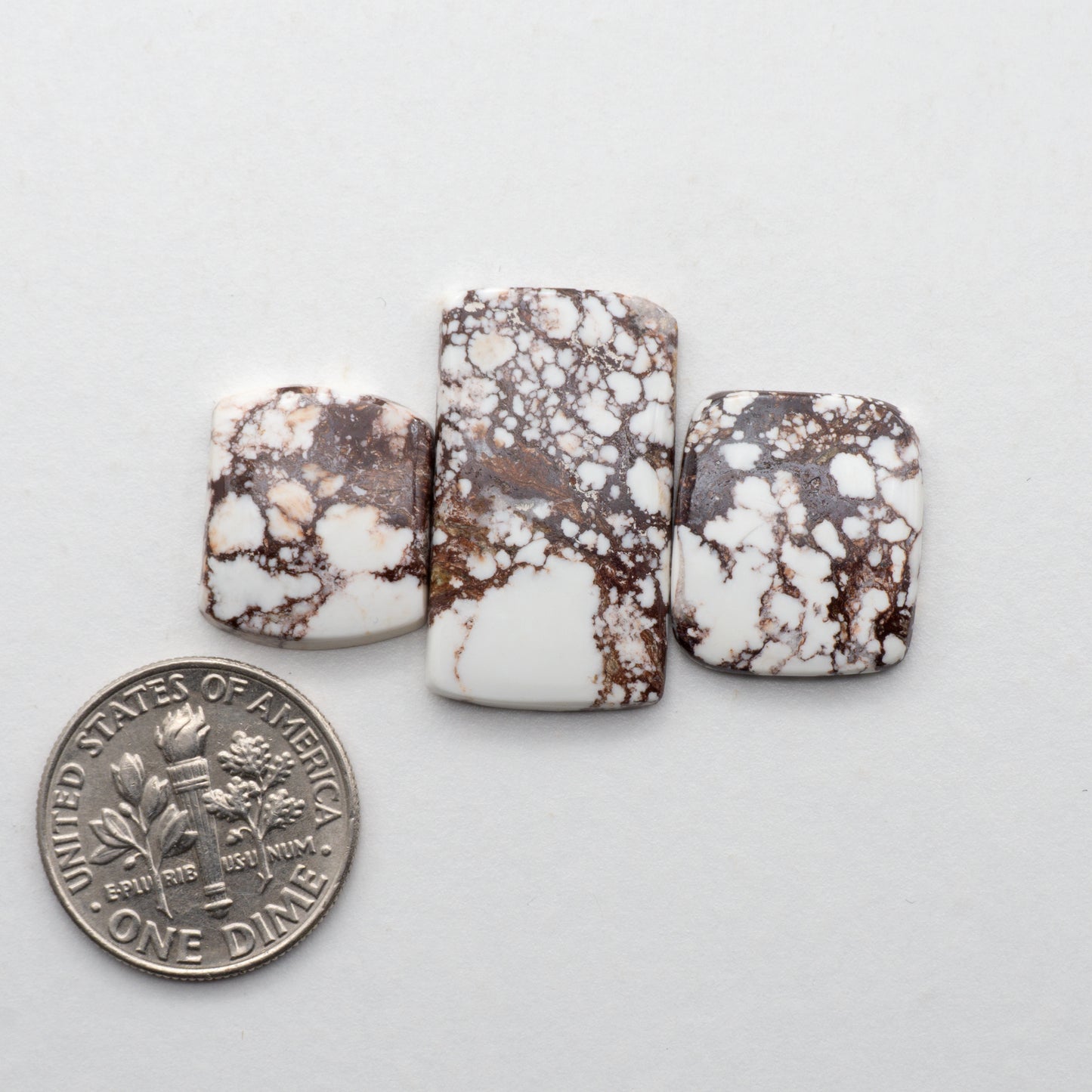 Wild Horse Cabochons
