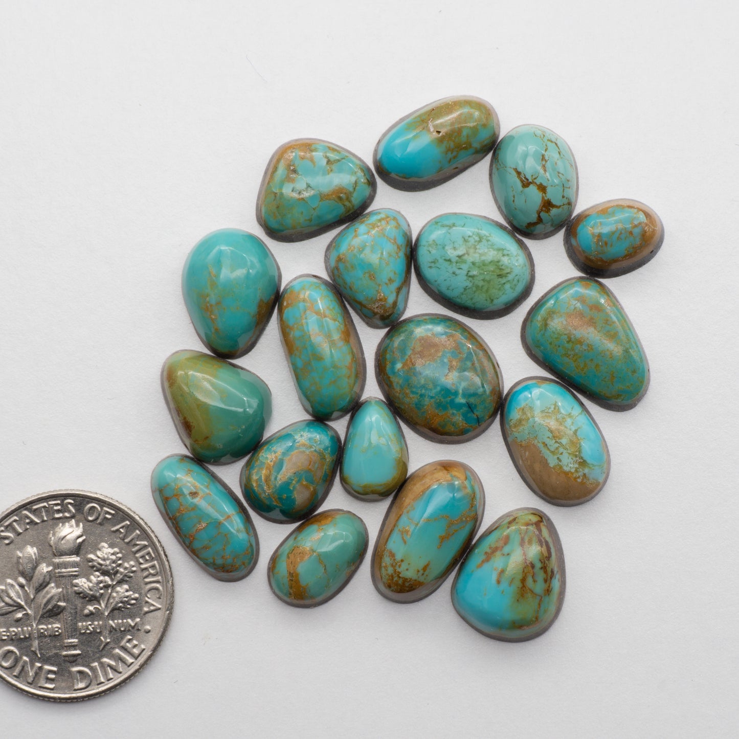 Kings Manassa Turquoise