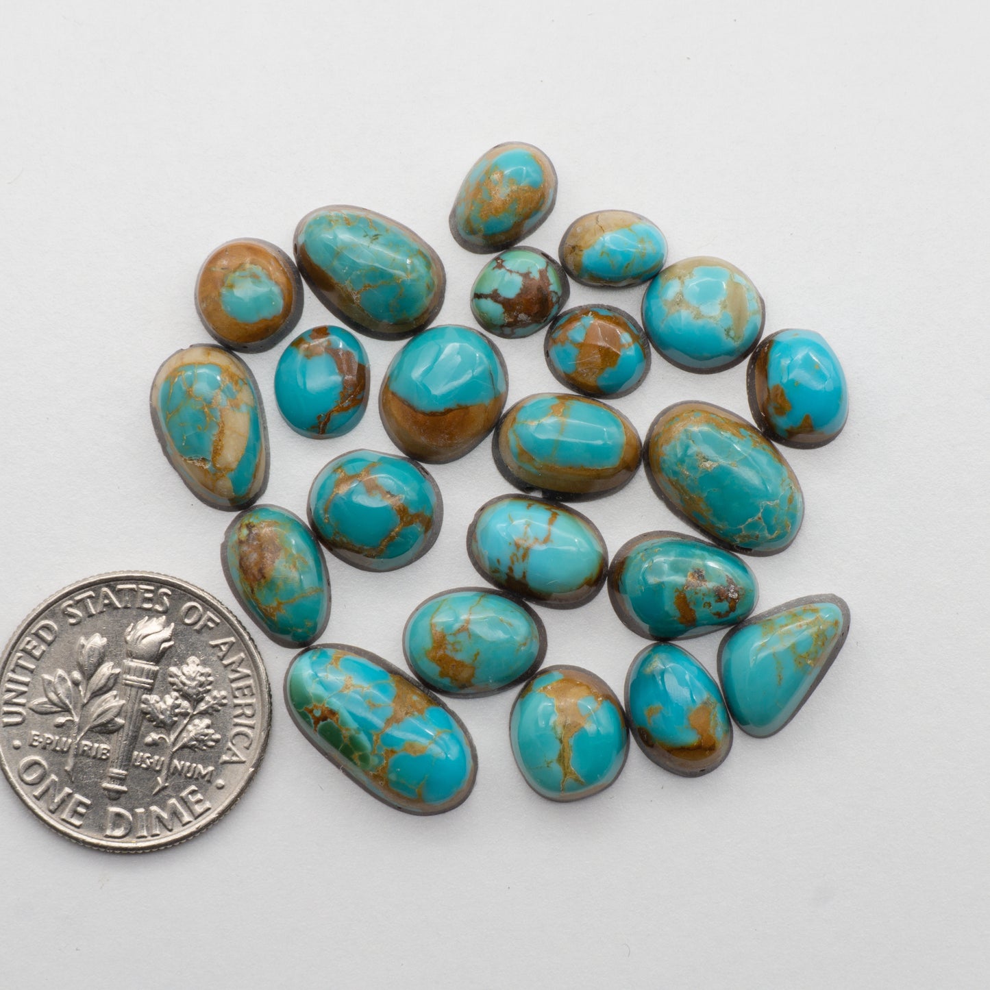 Kings Manassa Turquoise