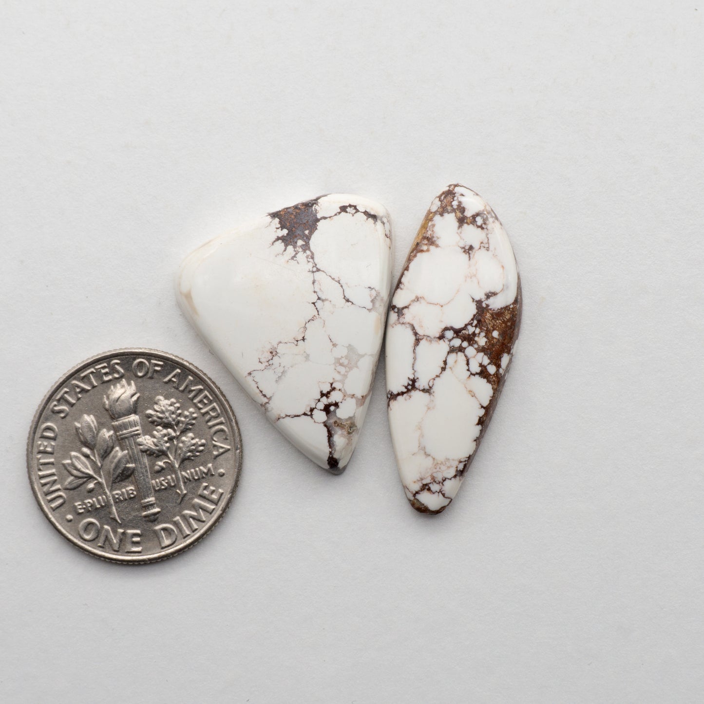 Wild Horse Cabochons