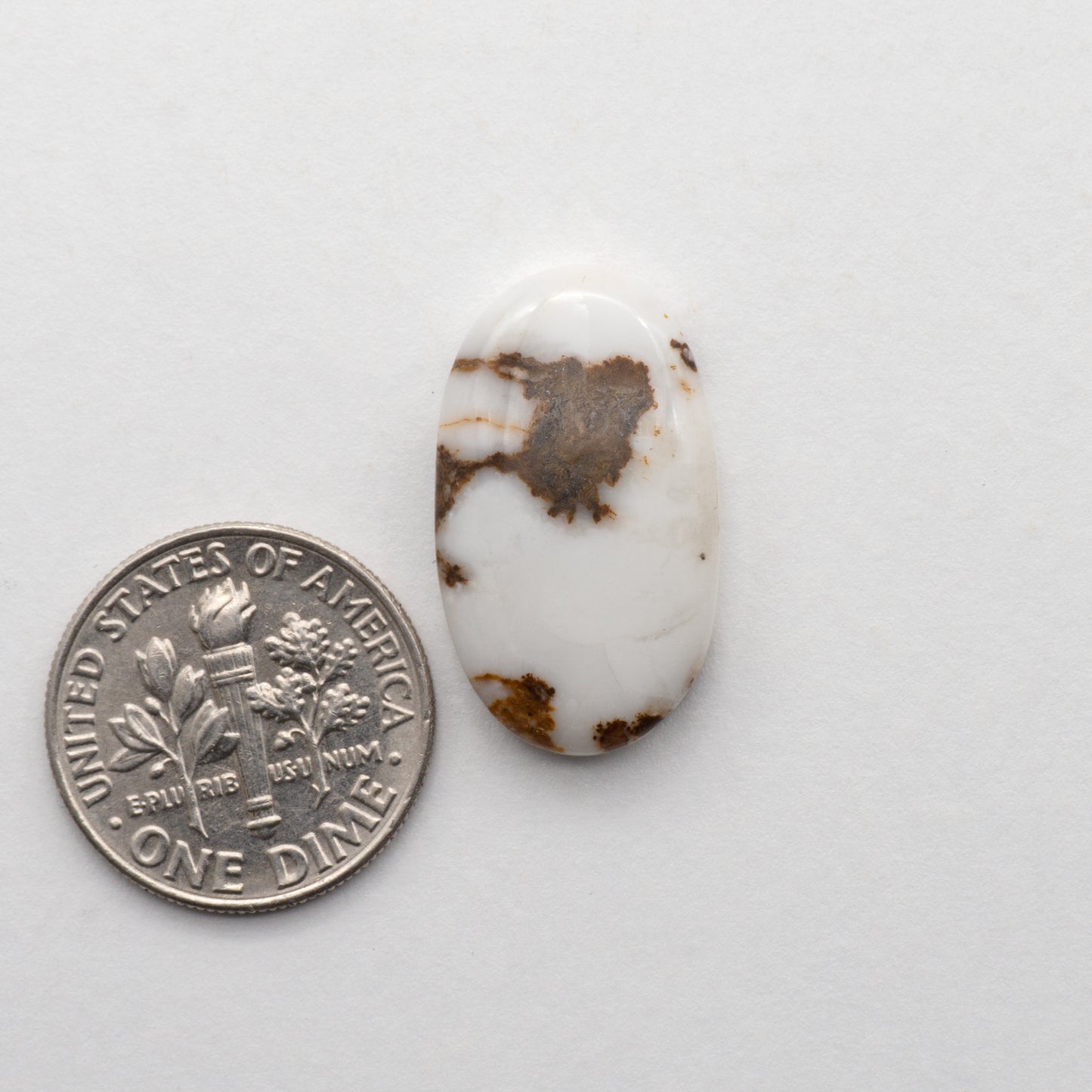 Wild Horse Cabochons