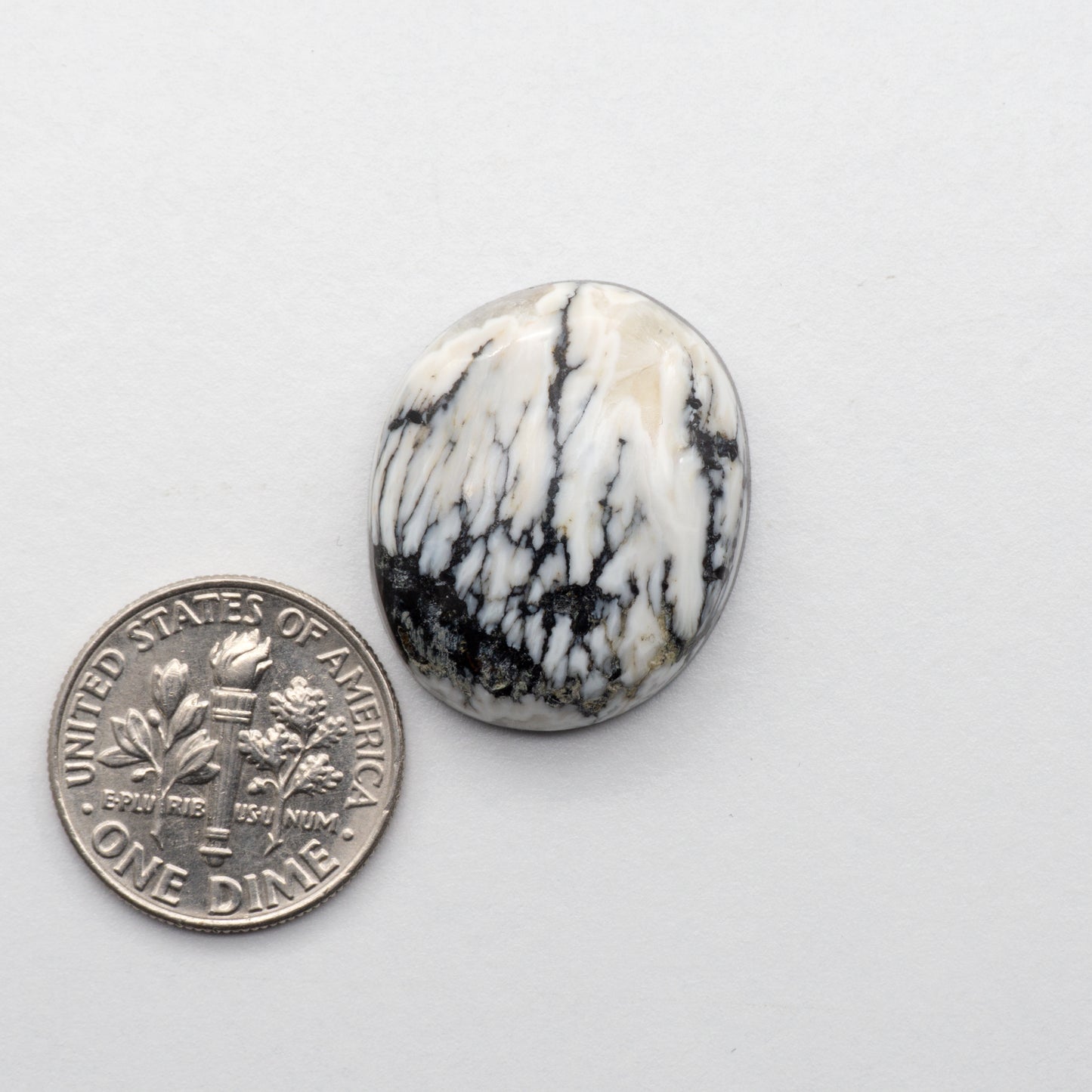 White Buffalo Stone Cabochons are semi-precious gemstones cut into shapes ideal for jewelry-making and crafting. The unique and varied veining of each cabochon lend an unparalleled depth and detail to any project, making them an excellent choice for artisans looking to add an individualistic touch.