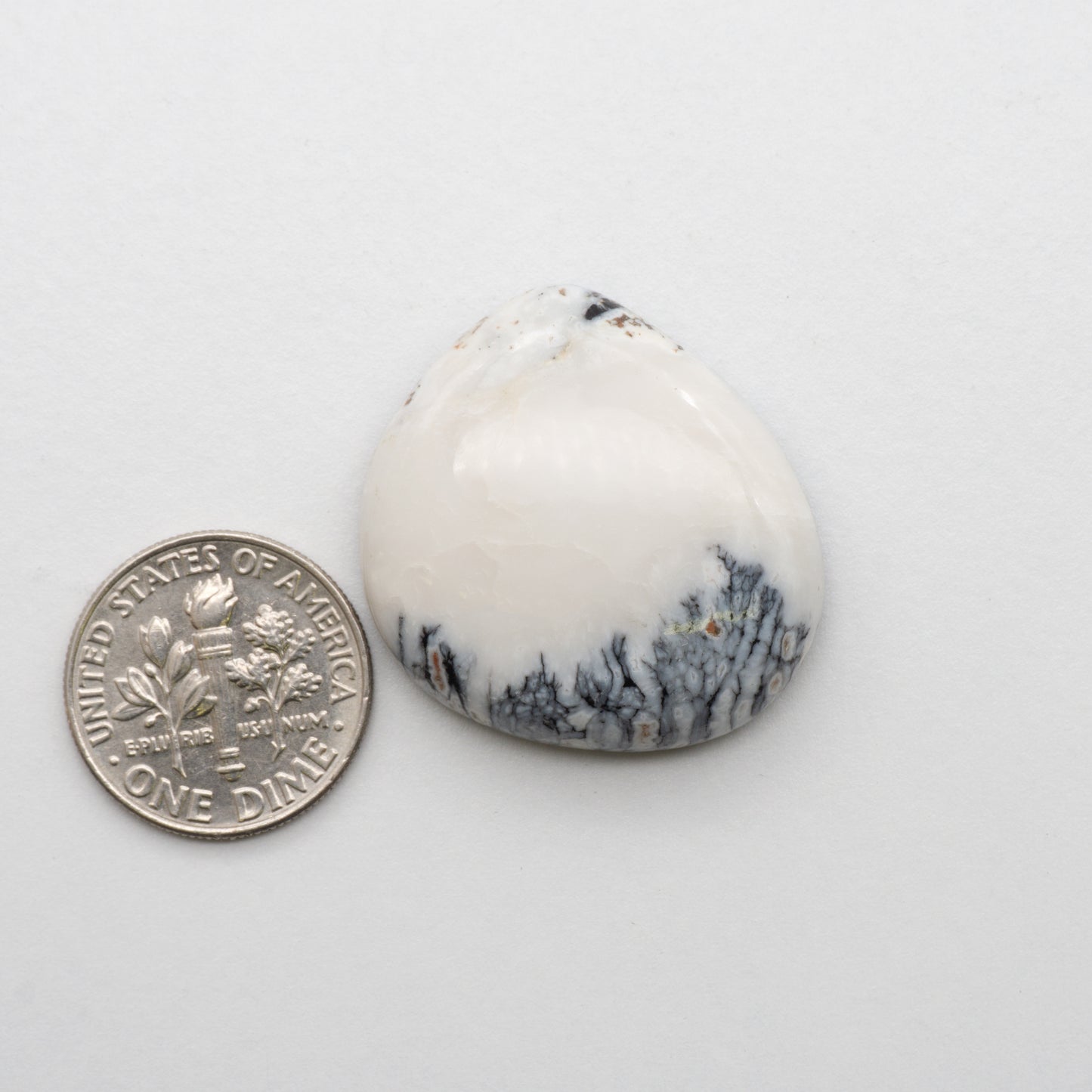 White Buffalo Stone Cabochons are semi-precious gemstones cut into shapes ideal for jewelry-making and crafting. The unique and varied veining of each cabochon lend an unparalleled depth and detail to any project, making them an excellent choice for artisans looking to add an individualistic touch.