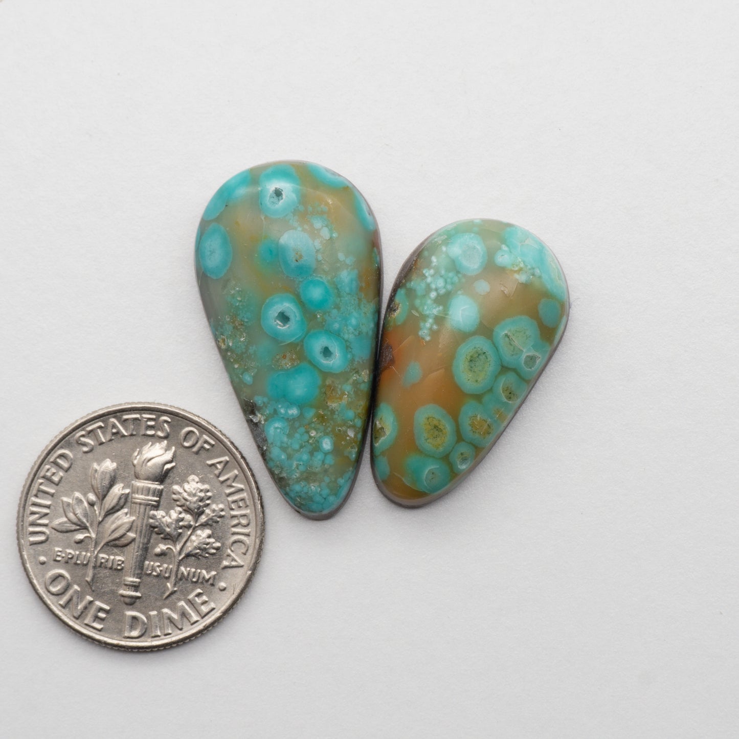 The Cumpas Turquoise is a captivating gemstone with a unique, blue-green color. Derived from a mixture of quartz and algae, this stone is perfect for use in jewelry or other decorative pieces. The natural beauty of the Cumpas Turquoise makes it a stunning addition to any collection.