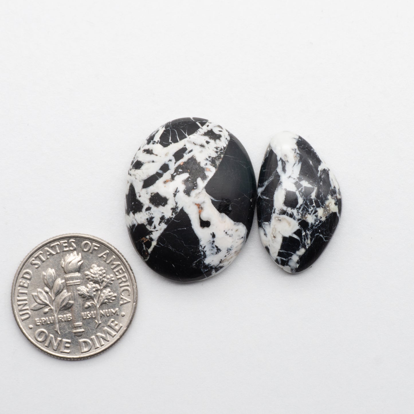 These Natural White Buffalo Cabochons have a glossy finish and are backed for added strength. Mined in Nevada, USA these stones are similar to turquoise used for jewelry making.