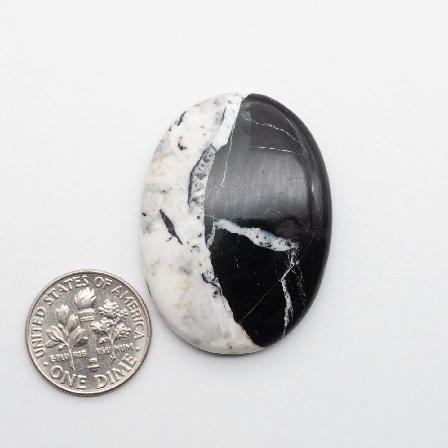 These Natural White Buffalo Cabochons have a glossy finish and are backed for added strength. Mined in Nevada, USA these stones are similar to turquoise used for jewelry making.