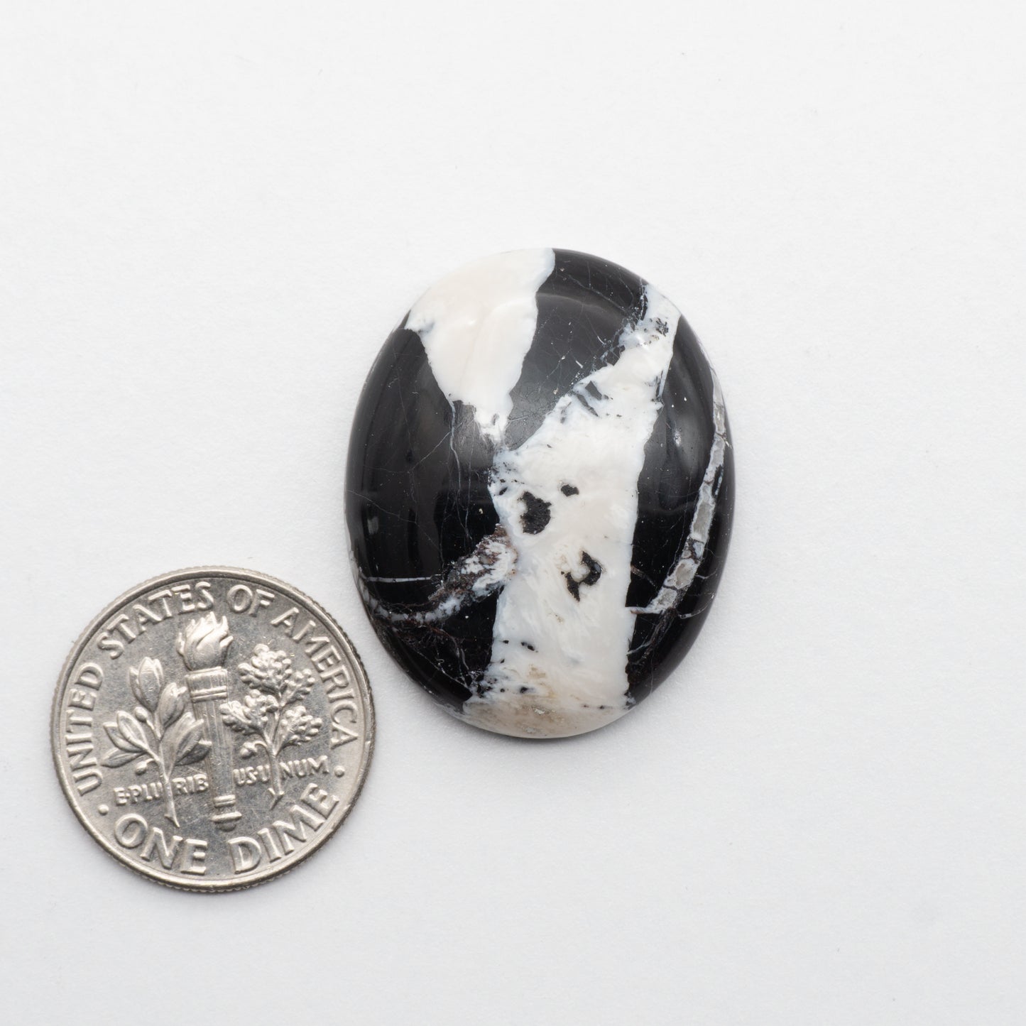 These Natural White Buffalo Cabochons have a glossy finish and are backed for added strength. Mined in Nevada, USA these stones are similar to turquoise used for jewelry making.