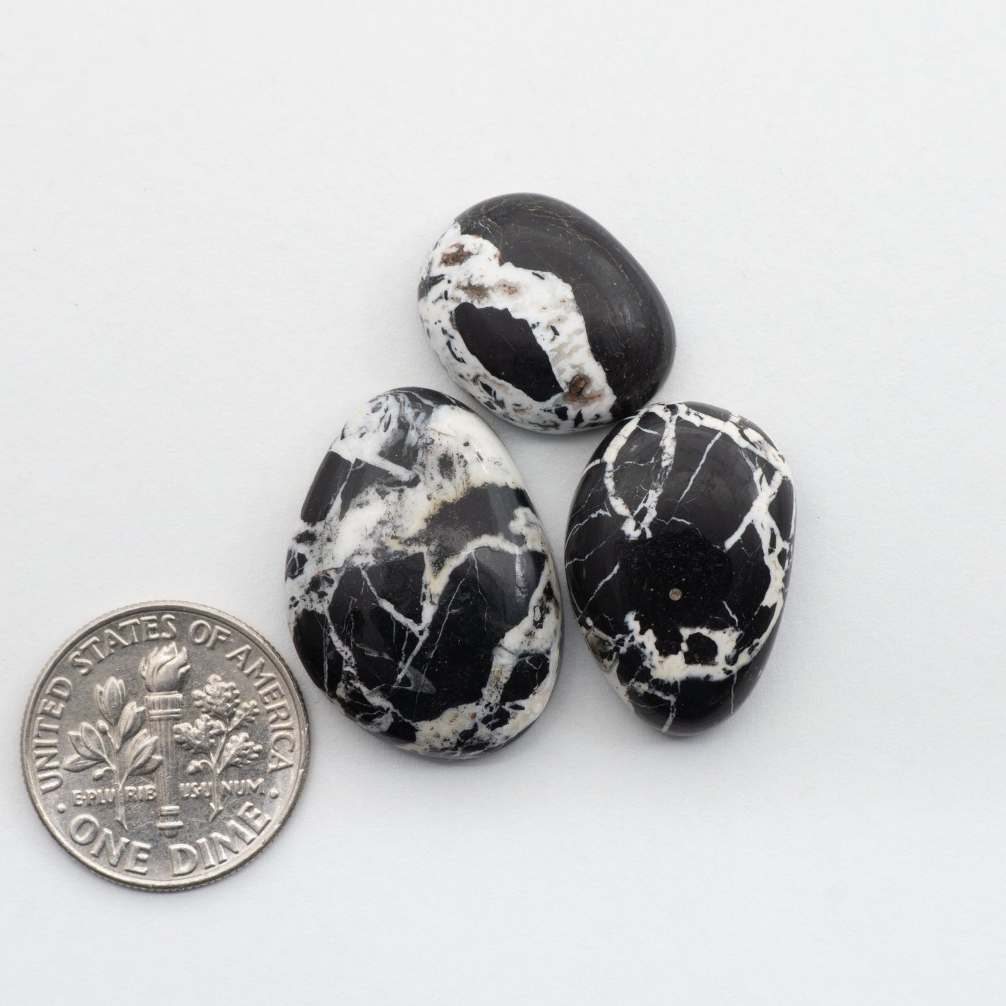 These Natural White Buffalo Cabochons have a glossy finish and are backed for added strength. Mined in Nevada, USA these stones are similar to turquoise used for jewelry making.
