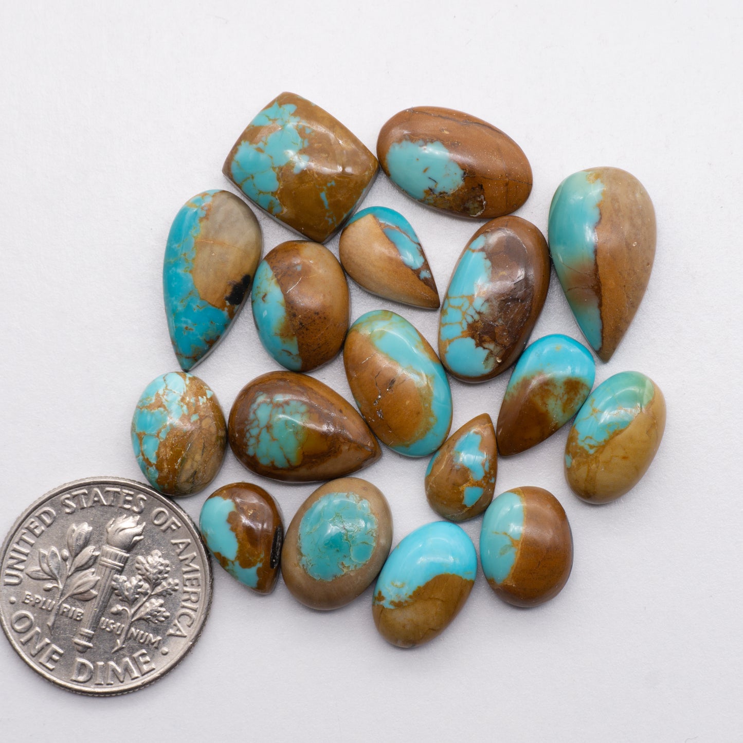 Kings Manassa Turquoise