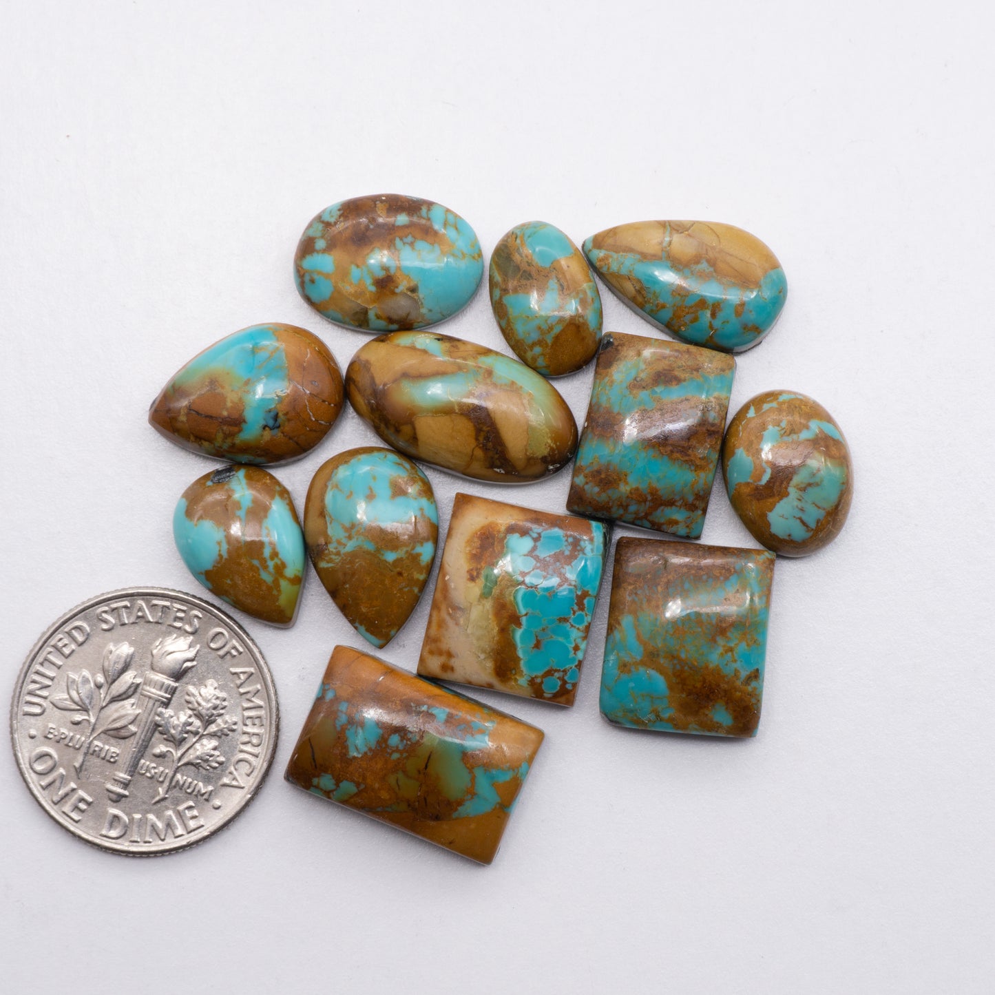 Kings Manassa Turquoise