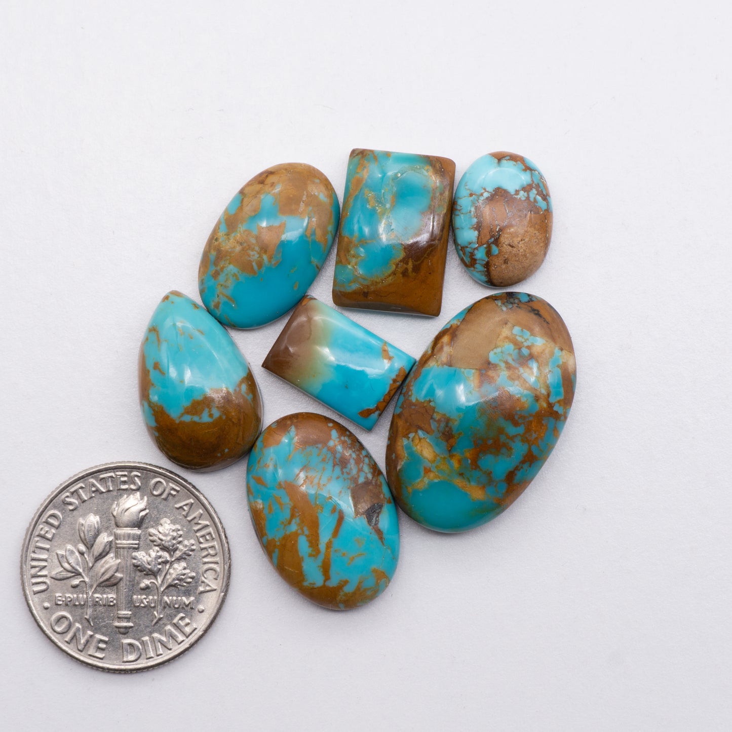 Kings Manassa Turquoise