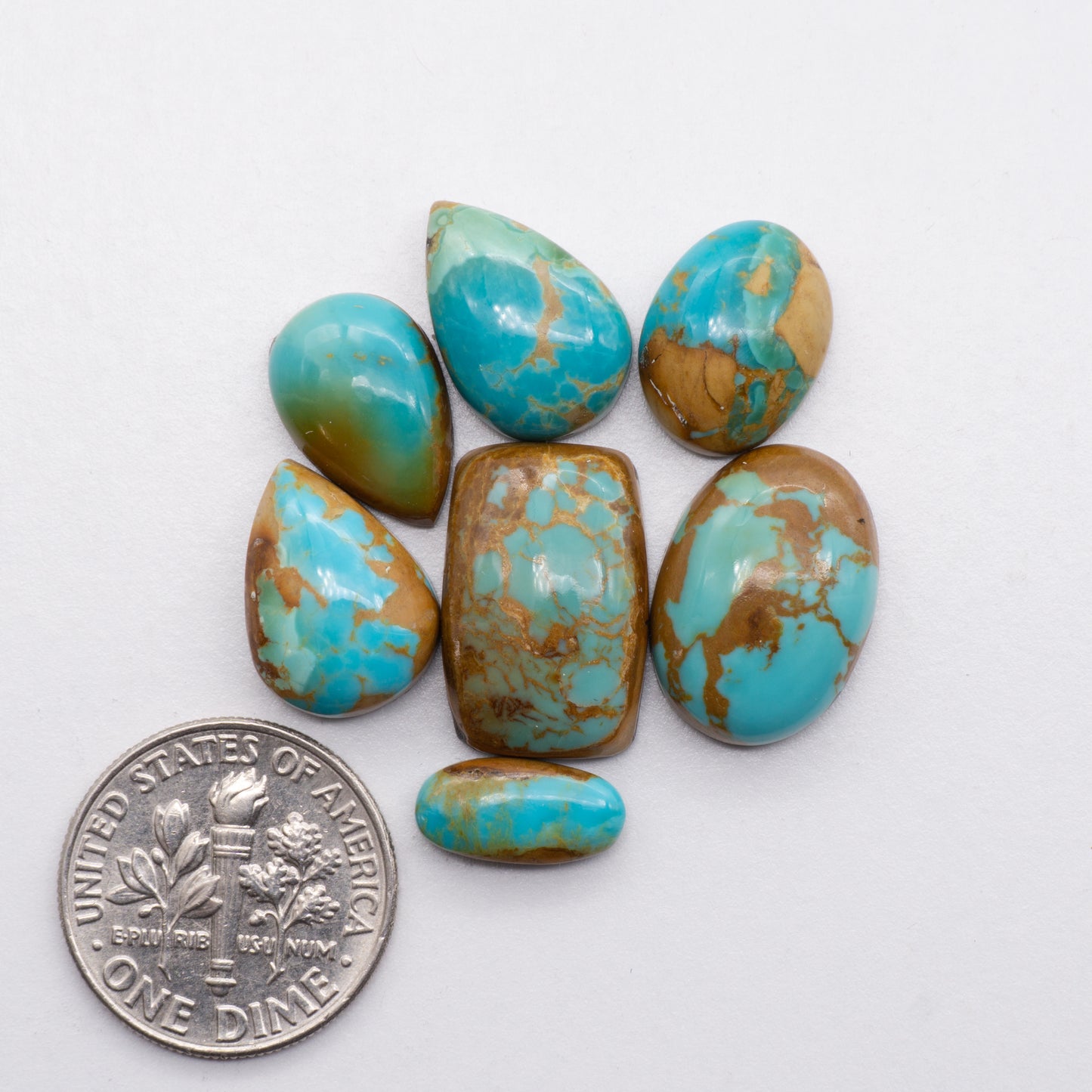 Kings Manassa Turquoise