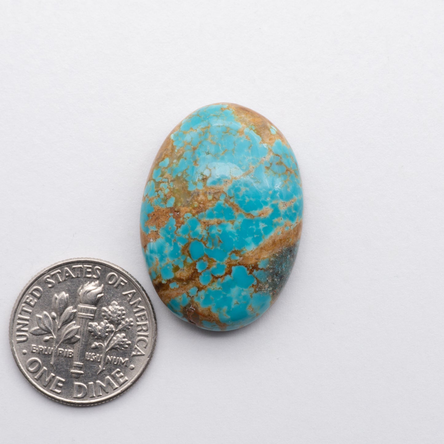 Number 8 Turquoise Cabochon