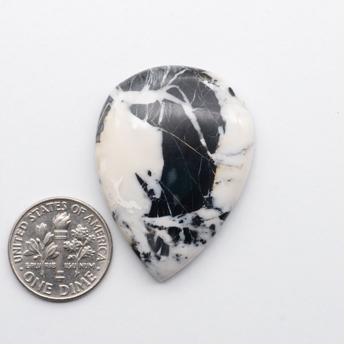 White Buffalo Stone Cabochons