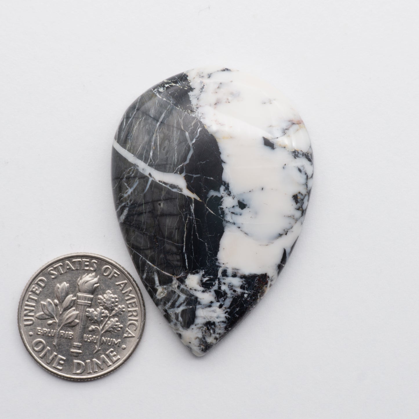 White Buffalo Stone Cabochons