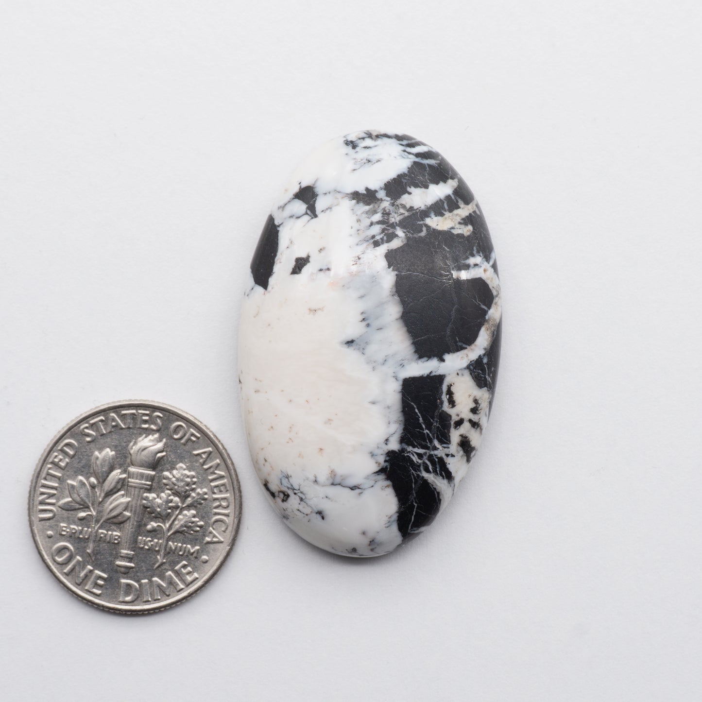 White Buffalo Stone Cabochons