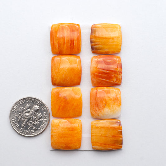 Add a unique, natural touch to your jewelry designs with our Orange Spiny Oyster Cabochons.