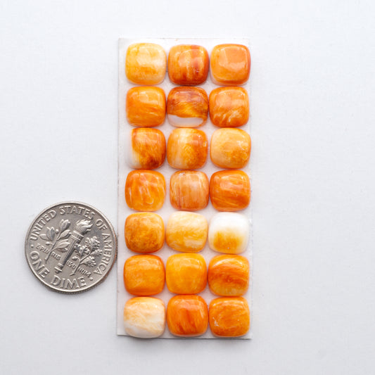 Add a unique, natural touch to your jewelry designs with our Orange Spiny Oyster Cabochons.