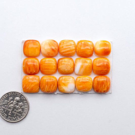 Add a unique, natural touch to your jewelry designs with our Orange Spiny Oyster Cabochons.