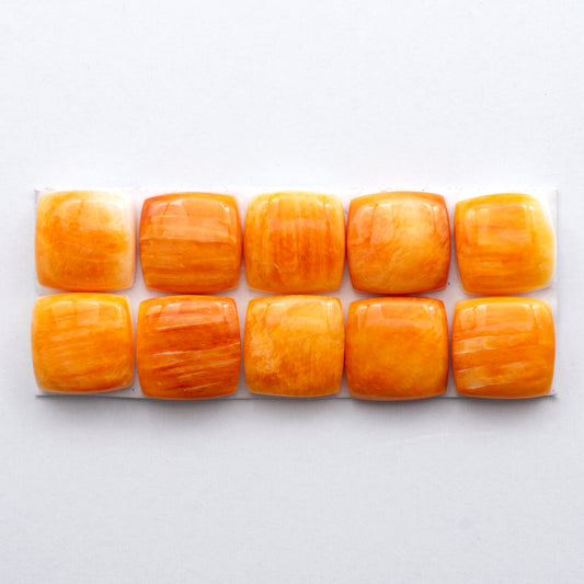 Add a unique, natural touch to your jewelry designs with our Orange Spiny Oyster Cabochons.