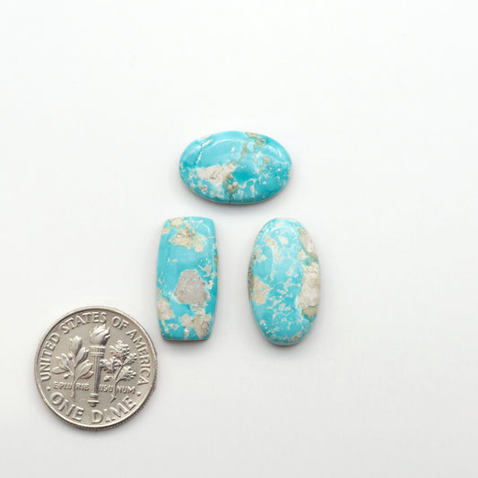 Fox Turquoise Cabochons