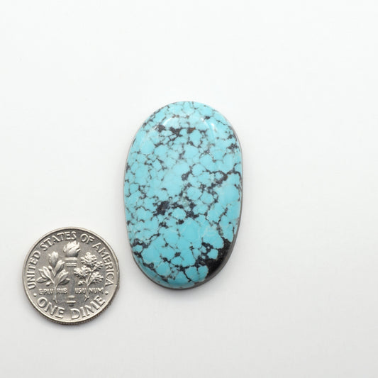 Number 8 Turquoise Cabochons have been selected for their quality and unique appearance. Don't miss the chance to add a one-of-a-kind piece to your collection.