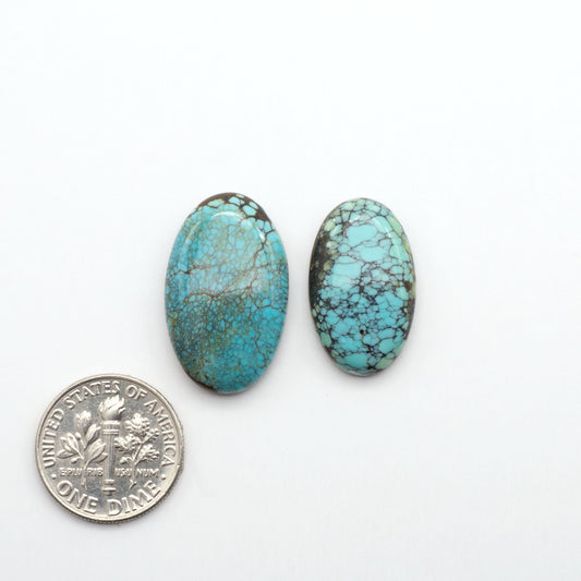 Blue Moon turquoise is a highly prized gemstone, renowned for its vibrant blue color with intricate patterns, making it a must-have for any jewelry collection.