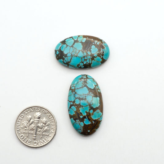 Blue Moon turquoise is a highly prized gemstone, renowned for its vibrant blue color with intricate patterns, making it a must-have for any jewelry collection.