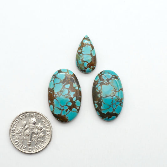 Blue Moon turquoise is a highly prized gemstone, renowned for its vibrant blue color with intricate patterns, making it a must-have for any jewelry collection.