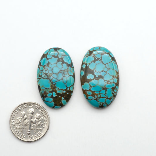 Blue Moon turquoise is a highly prized gemstone, renowned for its vibrant blue color with intricate patterns, making it a must-have for any jewelry collection.