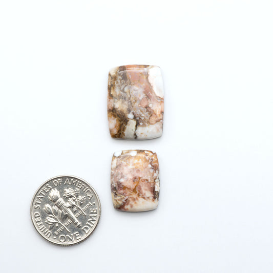 Wild Horse Cabochon are a magnificent addition to any collection. Natural magnesite stones feature a design that will add beauty to any jewelry design.