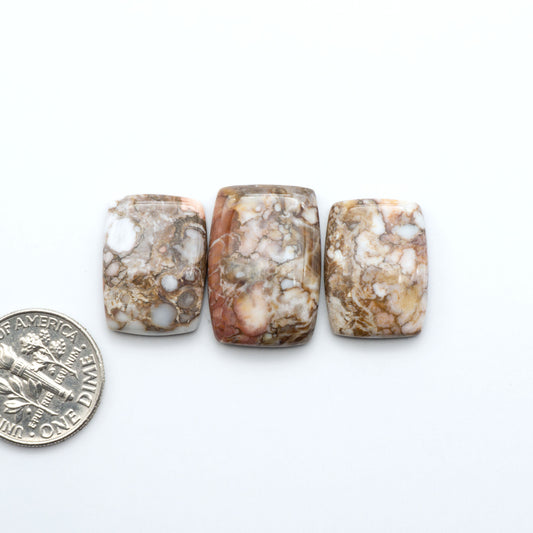 Wild Horse Cabochon are a magnificent addition to any collection. Natural magnesite stones feature a design that will add beauty to any jewelry design.