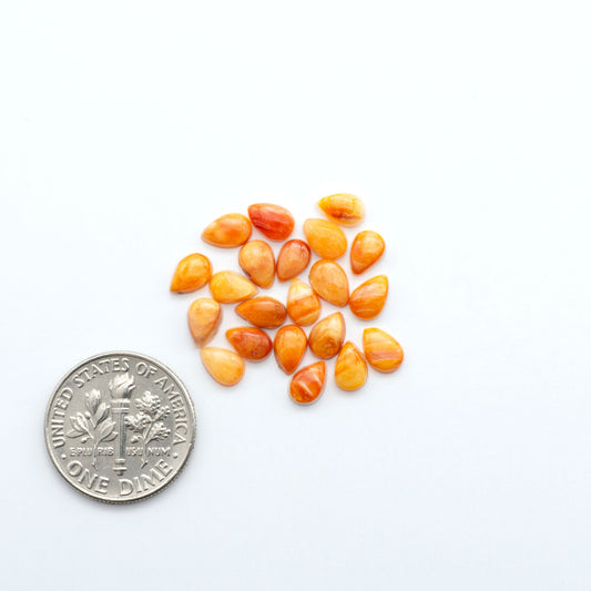 Add a unique touch to your jewelry designs with our beautiful 100% Natural Spiny Oyster Shell Cabochons. Incorporate the beauty of the sea into your creations.