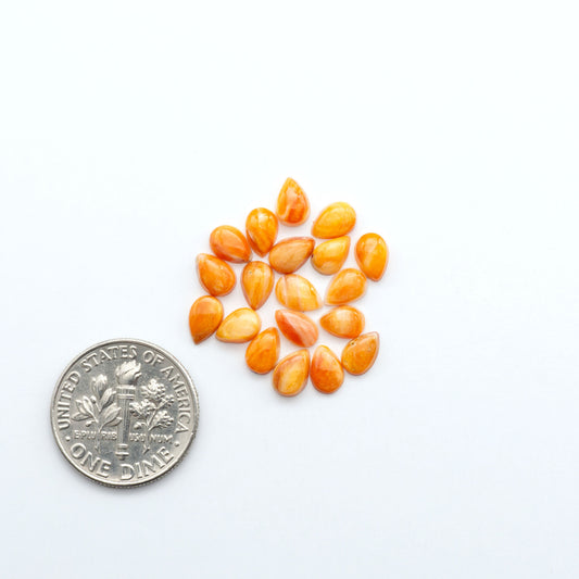 Add a unique touch to your jewelry designs with our beautiful 100% Natural Spiny Oyster Shell Cabochons. Incorporate the beauty of the sea into your creations.