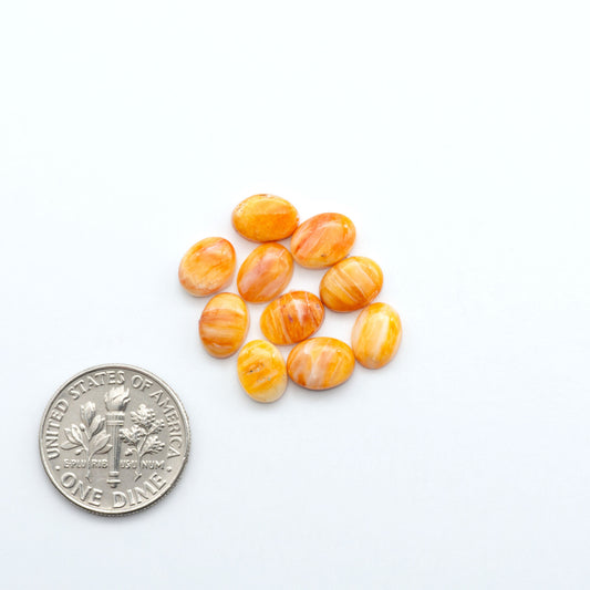 Add a unique touch to your jewelry designs with our beautiful 100% Natural Spiny Oyster Shell Cabochons. Incorporate the beauty of the sea into your creations.