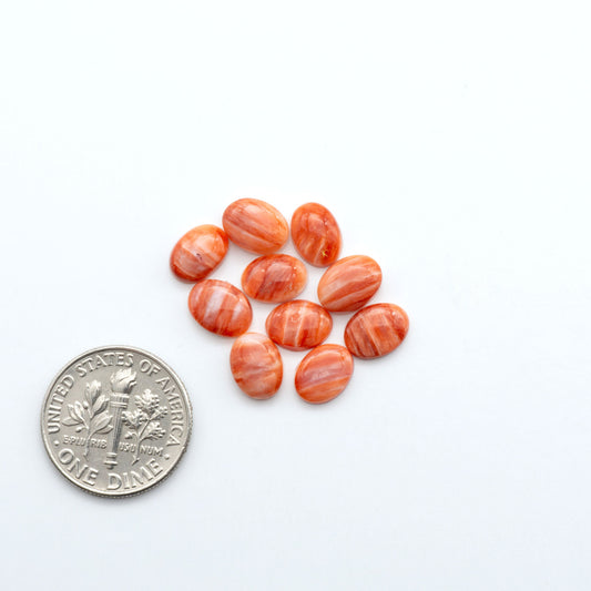 Add a unique touch to your jewelry designs with our beautiful 100% Natural Spiny Oyster Shell Cabochons. Incorporate the beauty of the sea into your creations.