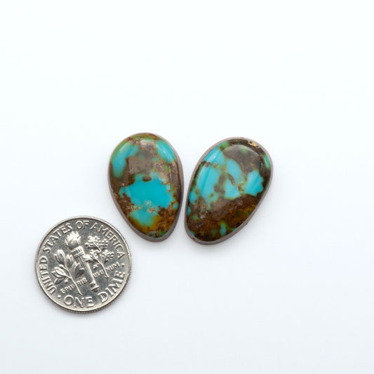 Kings Manassa Turquoise