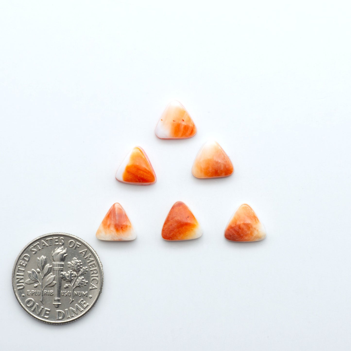 Add a unique touch to your jewelry designs with our beautiful 100% Natural Spiny Oyster Shell Cabochons. Incorporate the beauty of the sea into your creations.