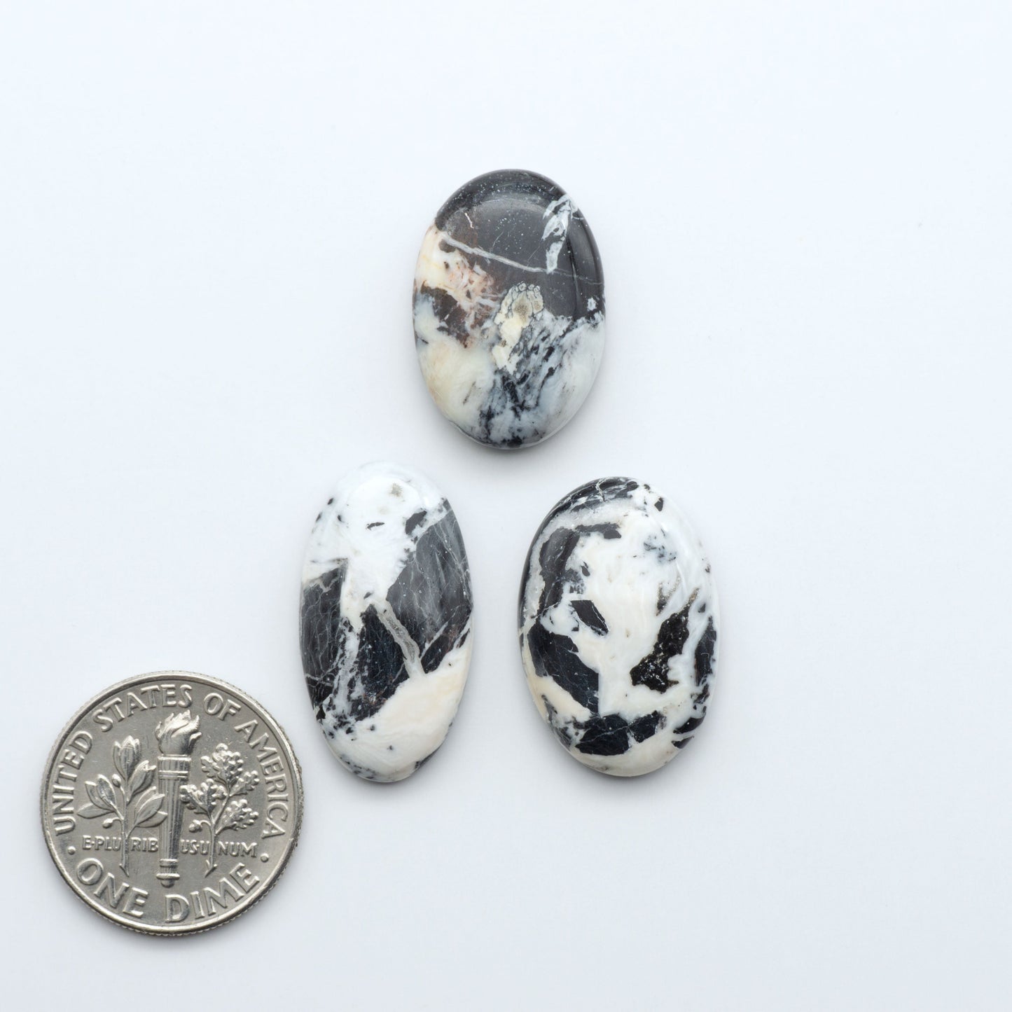 White Buffalo Stone Cabochons